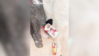 مسكها فشخ كسها نيك  سكس مصري  في الصحراء قدام ابوها كان بيدلع كسها الممحون و هي بتشرب سجاره