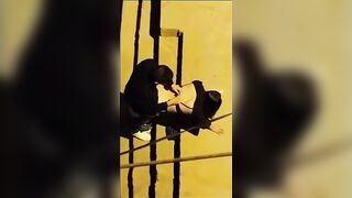 الساعه 3الفجر  سكس مصري قفشت العرص فاشخ كس الشرموطه نيك في وسط الشارع ضربت عليها عشره هههههه