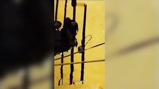 الساعه 3الفجر  سكس مصري قفشت العرص فاشخ كس الشرموطه نيك في وسط الشارع ضربت عليها عشره هههههه