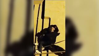 الساعه 3الفجر  سكس مصري قفشت العرص فاشخ كس الشرموطه نيك في وسط الشارع ضربت عليها عشره هههههه