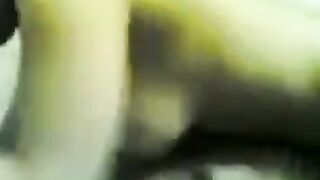 اللبوه بتقوليبراحه يا احمد اححح  سكس مصري جديد  دا انا هفشخ كسها اخليها مش عارفه تمشي عشان بتقولي مبتعرفش تنيك