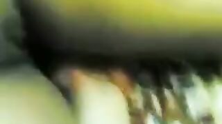 المموس قعده بتحكيلي ان امها بتهيج عليه  xnxx xxnxx مصري و بتلعب في كسها وطيزها وهي نايمه وبتخليها تخلع قدامها تضرب عليها سبعه ونص