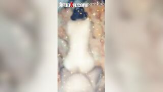 حصري علي مواقع انامزه شراميط العرب الهايجه عامله وضع السجود   xnxx xxnxx مصري  و صاحبها فاشخ كسها نيك عنيف اوي قحبه مصريه