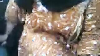 قبحه عراقيه كبيره في السن بس بتطلع اودرات الزبون خدها في نيك مصري كنبة العربيه من ورا و فشخ كسها الممحون نيك
