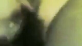 بنت متناكه صوتها حكايه وهي بتصوت  سكس مصري كده و بتتوجع من زبري اللي فشخها المموس كل ما تصوت اهيج عليها اكتر وافلق كسها
