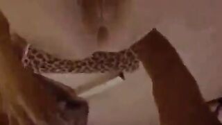 خرم طيز اللبوه جامد نيييك نايمه علي ضهرها و رفعه ر سكس مصري جلها لفوق وبتقول ارزع جامد في طيزي عايزه زبرك يفشخني