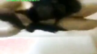 قحبه هايجه لابسه قميص نوم اسود حكايه  شغاله رقص شرقي جامد عشيق سكس مصري ها نايمه علي الارض وعمال يدوس برجلوا علي كسها و وشها