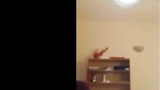 اللبوه طلعت من الحمام بتكلم صاحبها فيديو كول بتفرجوا عل سكس مصري ي جسمها الكيرفي و كسها المنفوخ  الحيحان حصري انا مزه