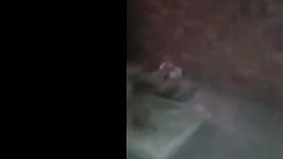 دخلت علي حسين صاحبي لاقيت معا شرموطه هايجه ركب علي زبر و ف سكس مصري شخ كسها نيك  لم لاقتني بصور قامت تجري عشان مجبش وشها