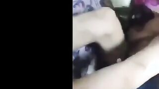 عنتيل شبرا شقط المموس مياده و خدها علي الشقه المتناكه طلعت استاذه  سكس مصر في مص و لحس الازبار بلعت زبر كله جوا بوقها