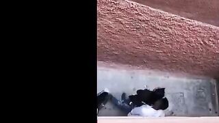 سمعت صوت غريب و اهات جايه من الشباك ببص لاقيت الشرموطه اختي  سكس مصر مع خطيبها العرص فاشخ طيزها نيك في منور العماره