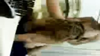 المموس ام شهد لبوة فيصل الطوابق عامله شغل عالي نيك مع ا سكس مصري لزبون و هو مغفلها و مصورها فيديو المتناكه شرموطه اوي