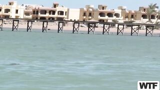 شاطئ لوس انجلوس ل شراميط العاريه كل الشراميط قاعدين  سكس مصري ببزازهم و نزلين لحس و مص في اكساسهم الممحونه انا مزه