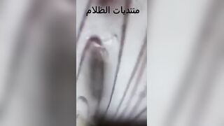 المموس بعتها القواد تريح زبر راجل كبير قد ابوها ا سكس مصري لعرص غفل ابوها وصور وهو ماسك المموس فاشخ كسها الهايج