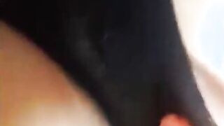 شرموطه مصريه ممحونه كسها هايج نيييك اللبوه بتكلم حبيبيها ال سكس مصري زبير وهي عماله تفعص في بزازها و تفرك في كسها الشرقان