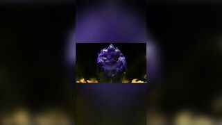 اللبوه السعوديه الممحونه راحت تقابل عشيقها في الفندق قالتلوا مش هقدر ا سكس مصري خلع هدومي مستعجله اول ما دخلت فلقس طيزها و فشخها نيك